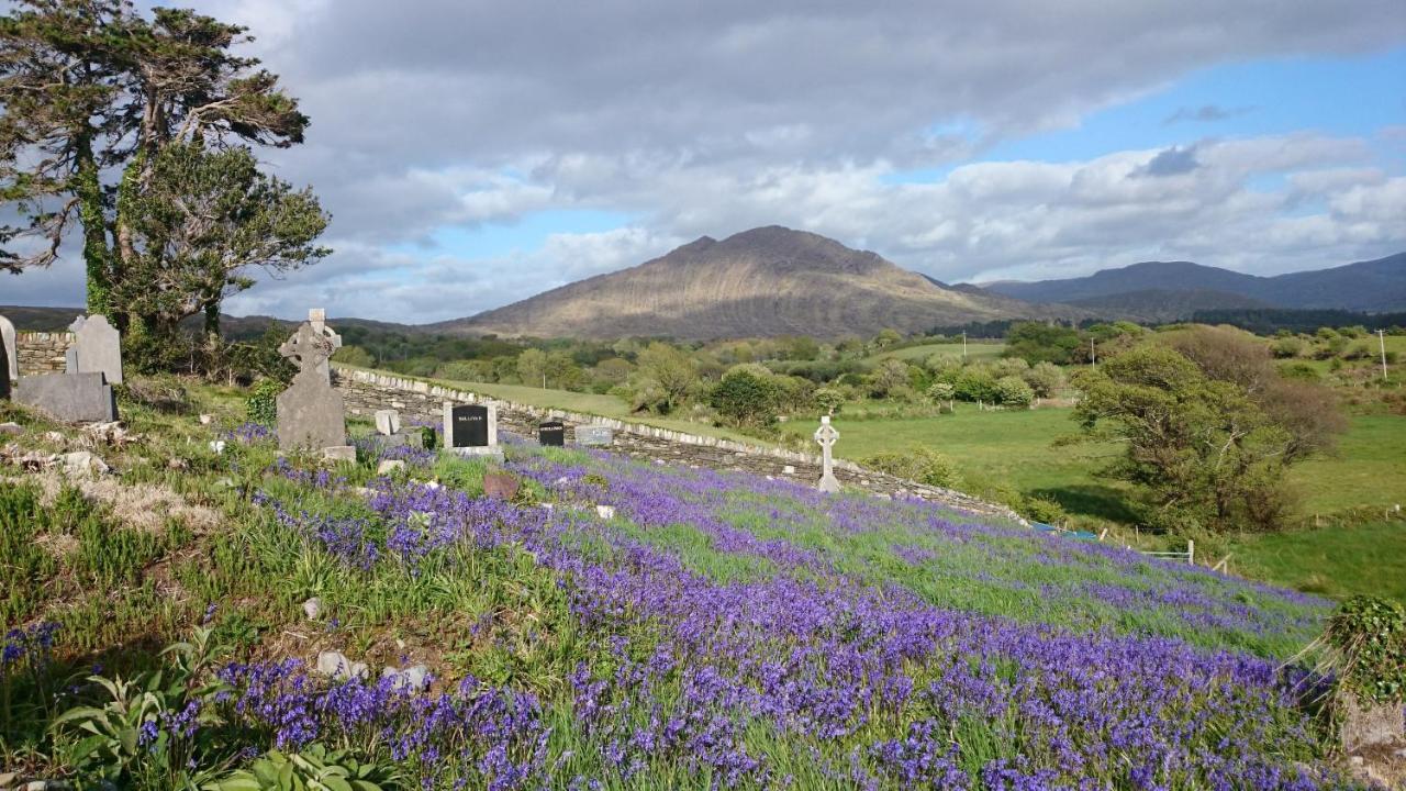 Kenmare Eco Lodge Eksteriør billede