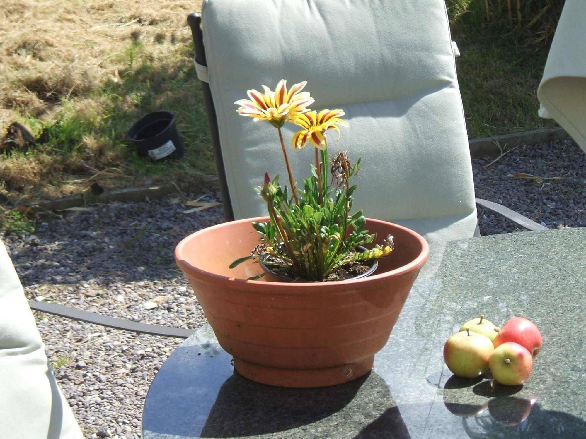 Kenmare Eco Lodge Eksteriør billede